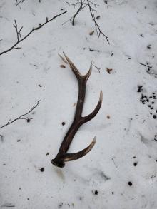 Trwa akcja „Wieniec”